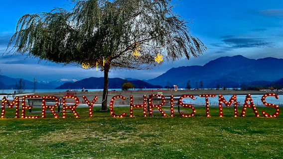 Christmas Lights by the Lake