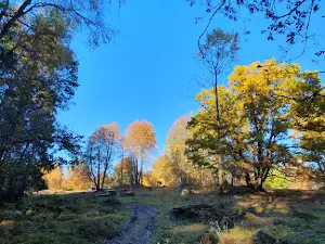 Bastöna gammelgård