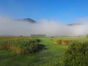 Limni Zaraka