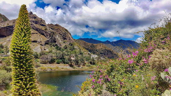 Presa La Encantadora