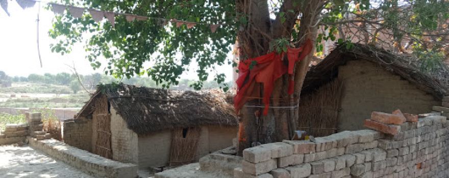 Bediya Baba
