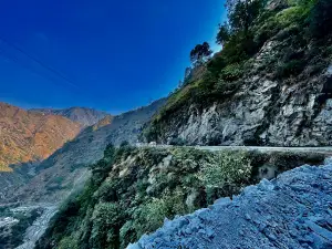 View point