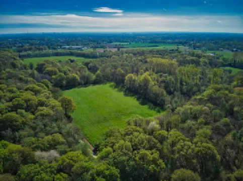 Хюльзер Брух, Хюльзер Берг