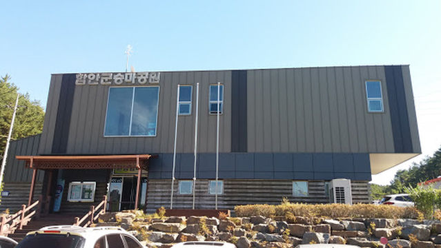 Haman Horse Riding Park