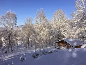 Camping Mettey