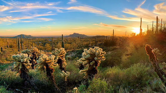 Хироглифик Трейлхед