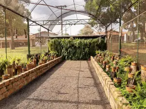 Parque Ecológico João Domingos Coelho