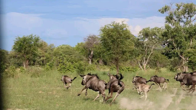 Sioma Ngwezi National Park