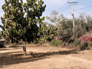 JAUHARABAD City Park