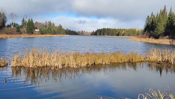 Taylor Lake RV Park