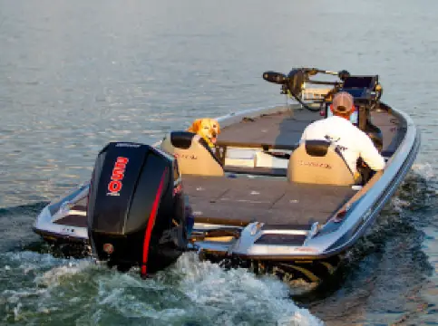 Guntersville Bass Guides