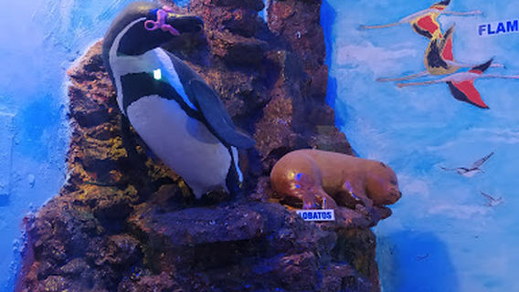 Museo Marino San Andrés