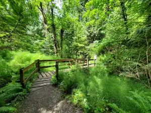 Burfoot Park