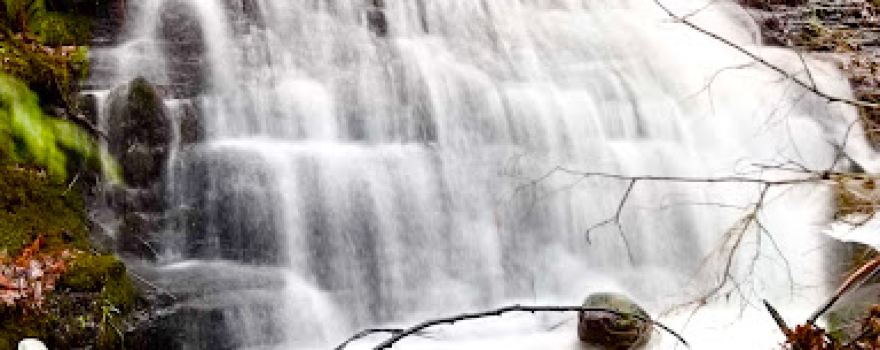 Gunn Brook