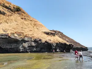 Velas Turtle Festival