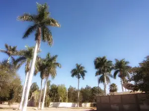 Agora Park