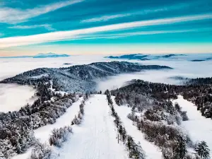 Ski Lysa