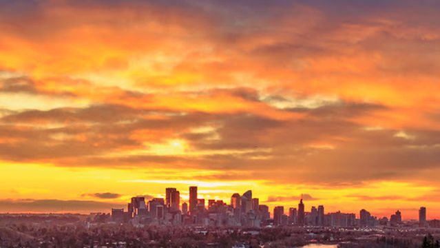 Edworthy Off Leash Dog Park