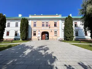 Muzeul Județean