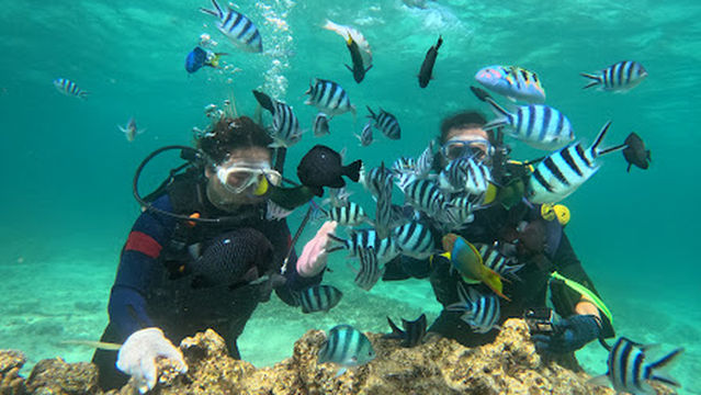 沖繩潛力BY黑潮潛水 PADI潛水課程・中文教學