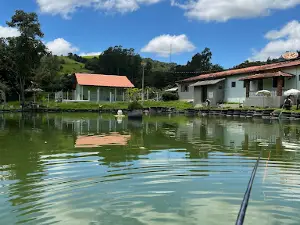 fishing rooster