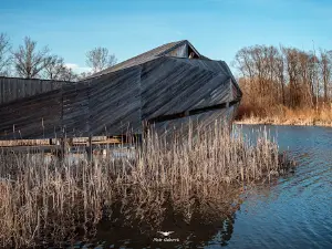 Beaver camp