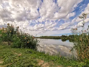 Balta Nănești