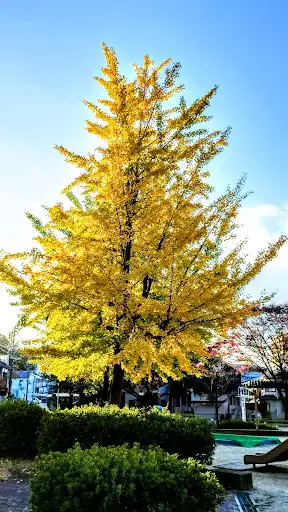 Shirutani Daiichi Park