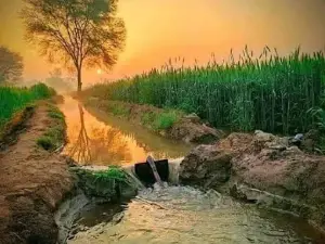 LIaqat Pura-Kachi Mandi
