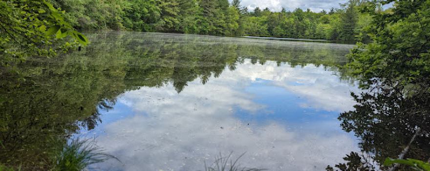 Verona Beach State Park