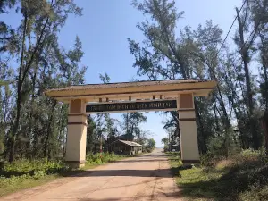 Biển Minh Tân
