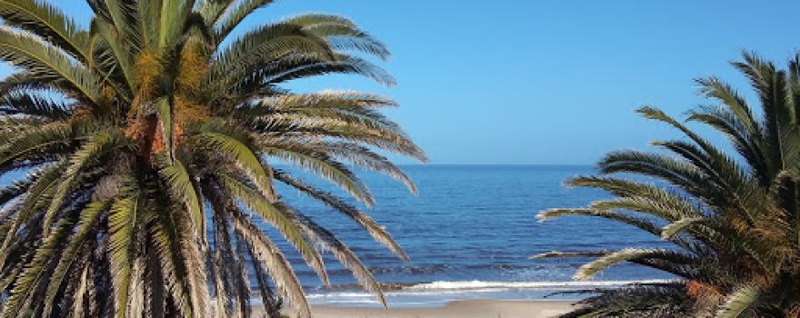 Playa La Floresta