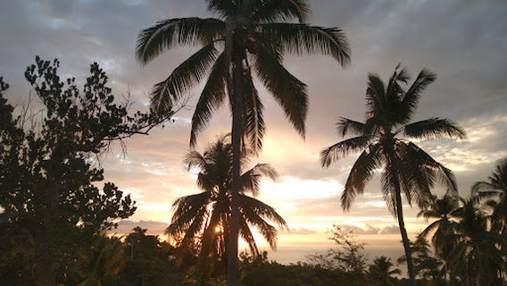 Dalaguete