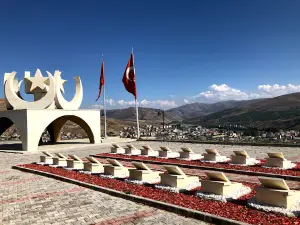 Şehit Osman Türbesi