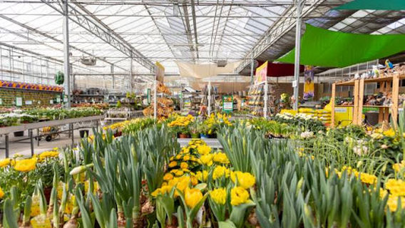 Floralia Garden Center AG