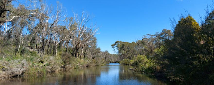 Picton Weir