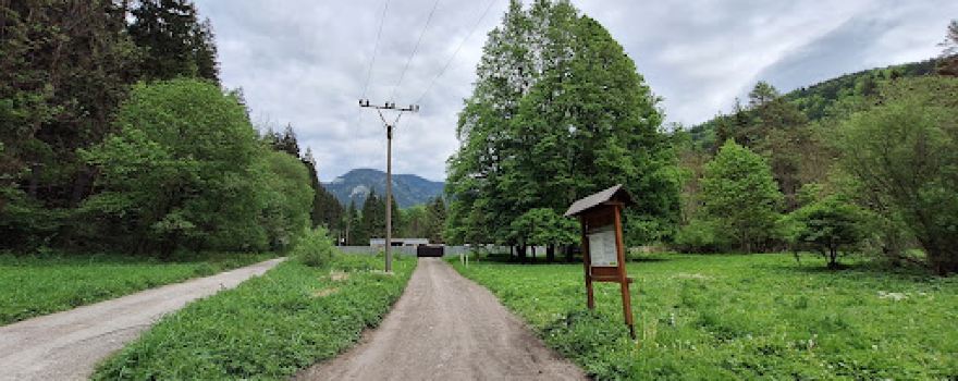 Jubilejný háj RČS Kramarisko