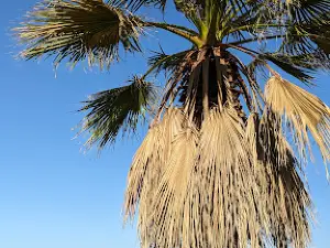 beach Nisiotissa