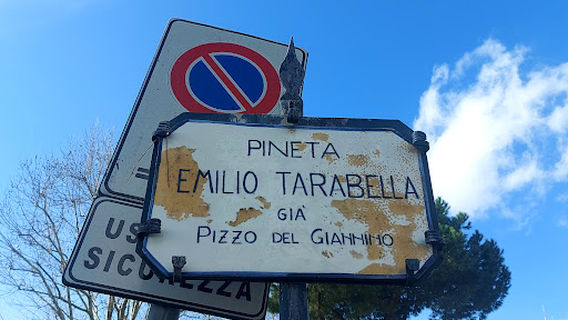 Pineta Emilio Tarabella