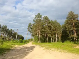 Reka Vetluga