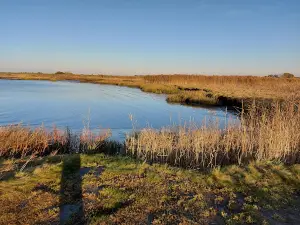ehemalige Bohrinsel Dyksterhusen