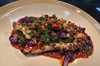 Manicomio - Gutter Lane