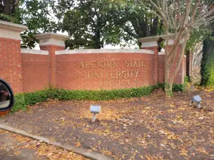 Davey L Whitney Complex
