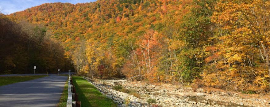Cold River Bend