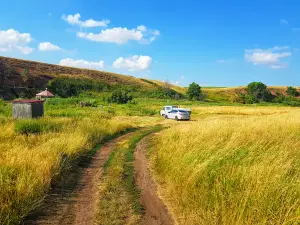 Гремучий