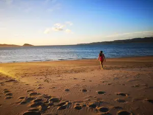 Puerto Soley