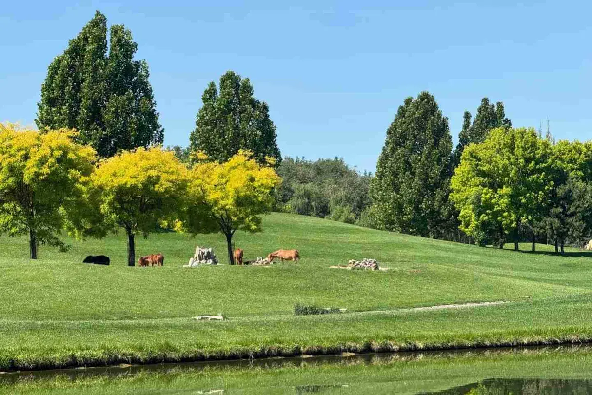 3_สวนสัตว์ปักกิ่ง