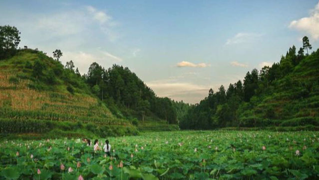 Lotus Valley Scenic Area