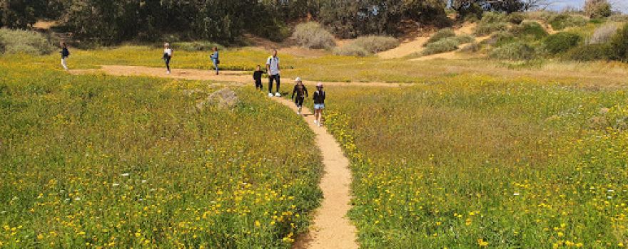 Sharon Reserve