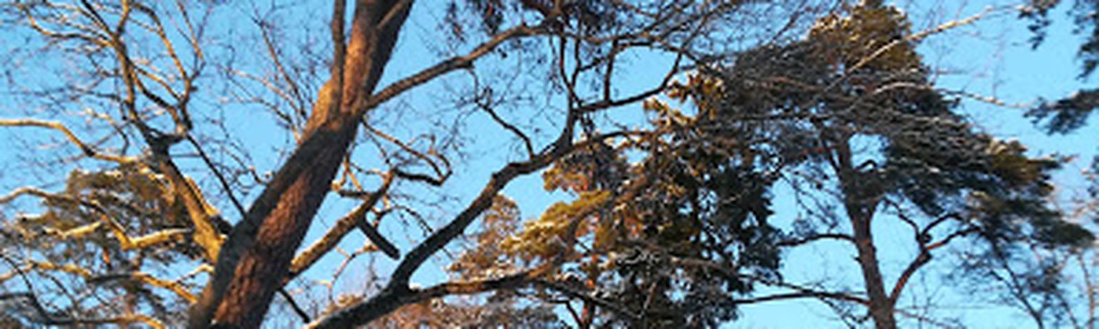 MeremoisaServizi di viaggio